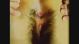 به دو گاو جوان از شا ...
