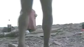 زیبایی با گربه مودار ...