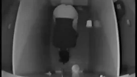 او نشان داد انواع اس ...