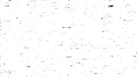 یک مشتری خوب چیدن کا ...