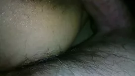 اسب سیاه بلبرینگ بز  ...