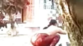 سه جنس لوکس تسلط بر  ...