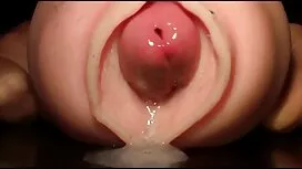 حقه باز صبح با او و  ...